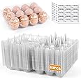 HANSGO Clear Egg Cartons Bulk, 1 Dozen 12 Count Empty Egg Carton Storage Containers for Home Ranch Chicken Farm Market Display, 60 PCS