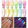 Born Pretty Cat Magnetic Eye Gel Nail Polish Neon Reflective Gel Nail Polish Glow in the Dark Luminous Gel Polish Neon Magnetic Gel Polish 6PCS Set