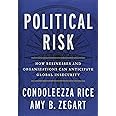 Political Risk: How Businesses and Organizations Can Anticipate Global Insecurity