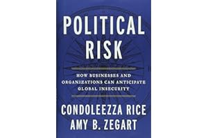 Political Risk: How Businesses and Organizations Can Anticipate Global Insecurity