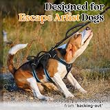 rabbitgoo Escape-Proof Small Dog Harness with Handle Reflective Black S view 3