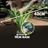 Komodo Jungle Canopy Reptile Terrarium Plant 1 Count view 3