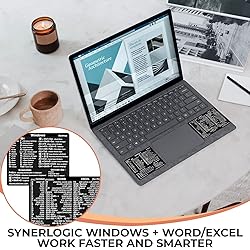 SYNERLOGIC Windows + Word/Excel (for Windows) Quick