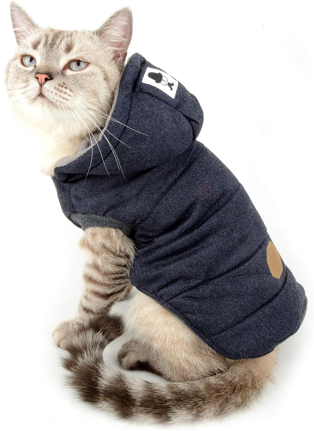 ZUNEA Small Dog Vest Coat Fleece Lined Winter Warm Puppy Jacket Hooded Windproof Pet Chihuahua Sweatshirt Soft Doggie Clothes Apparel Blue XL - Image 3
