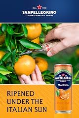 San Pellegrino Italian Sparkling Orange Drink 12 x 330ml Can 64k Cals Per Can view 3