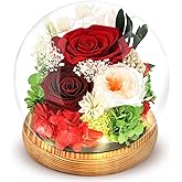 Preserved Flowers Roses in Glass Dome, Forever Flowers for Delivery Prime, Eternal Rose Long Lasting Flowers Gifts for Women Mom Wife Grandma Friends(Red)