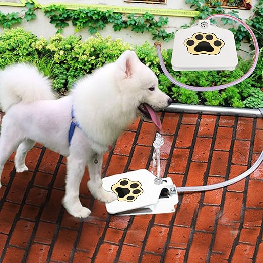 outdoor dog water fountain hose