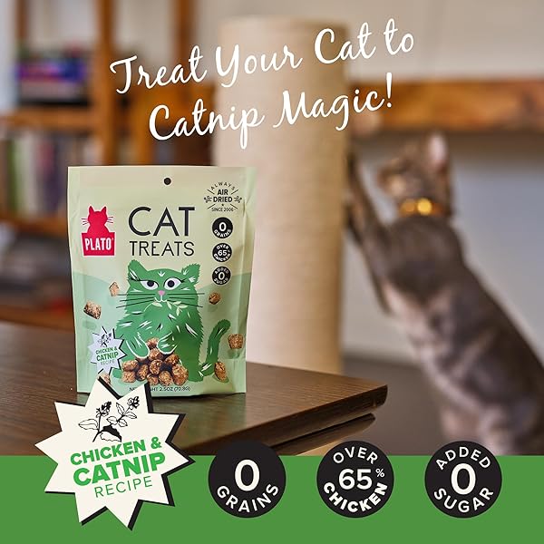 PLATO PET TREATS CAT TREATS – SINGLE INGREDIENT, HEALTHY CHICKEN CATNIP TREATS FOR INDOOR CATS – AIR DRIED – 2.5 OZ