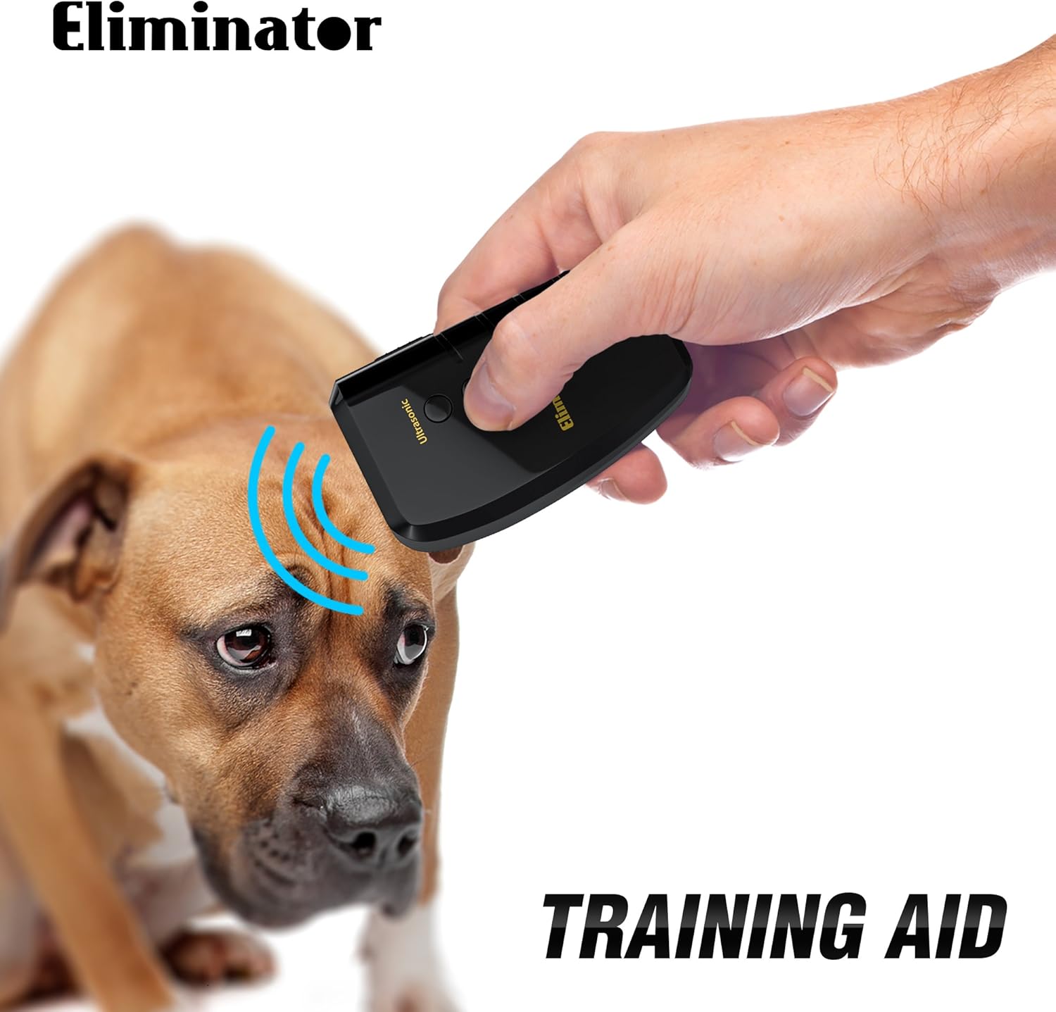 hoont dog trainer