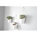 Modern Ceramic Hanging Planters, Succulent Plant Pots, Set of 3