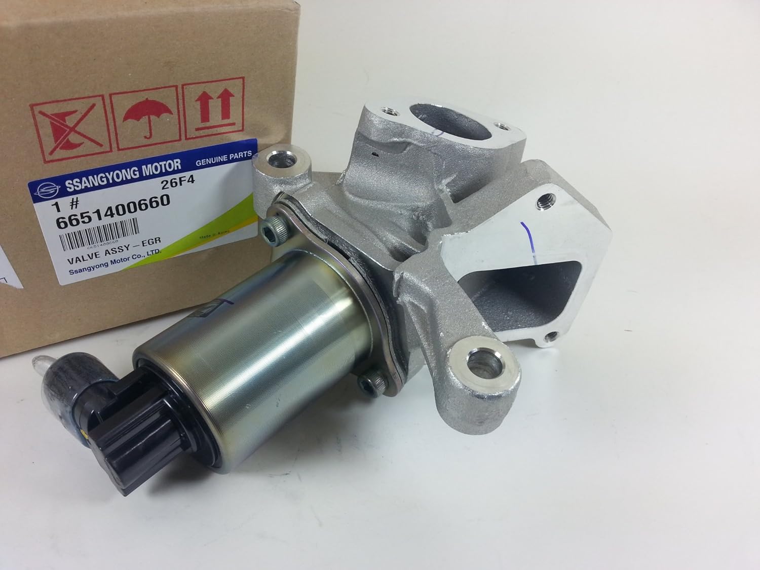 Ssangyong egr remover