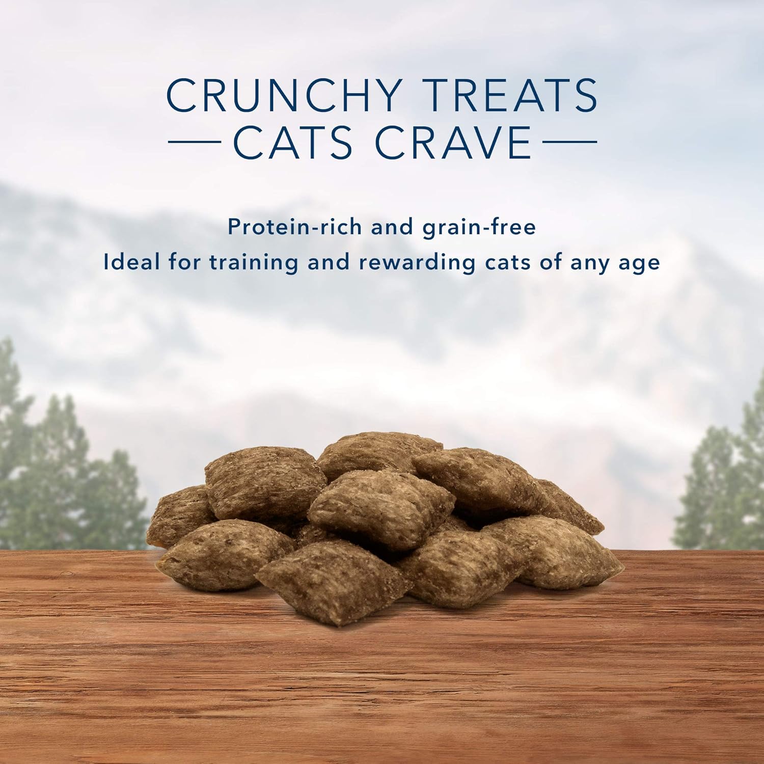 Blue Buffalo Wilderness Grain Free Crunchy Cat Treats, Chicken 12-oz Tub : Pet Supplies