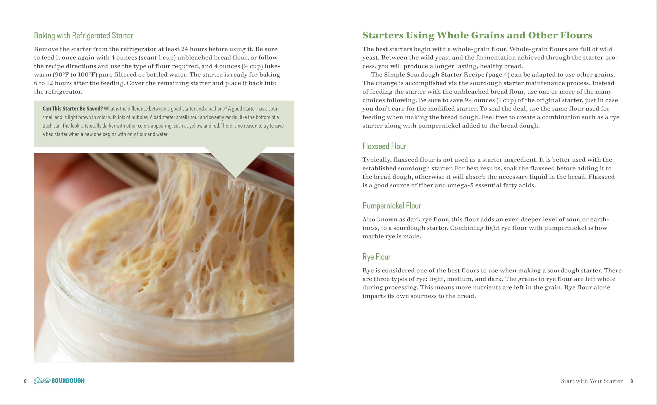 Starter Sourdough: The Step-by-Step Guide to Sourdough Starters, Baking Loaves, Baguettes, Pancakes, and More
