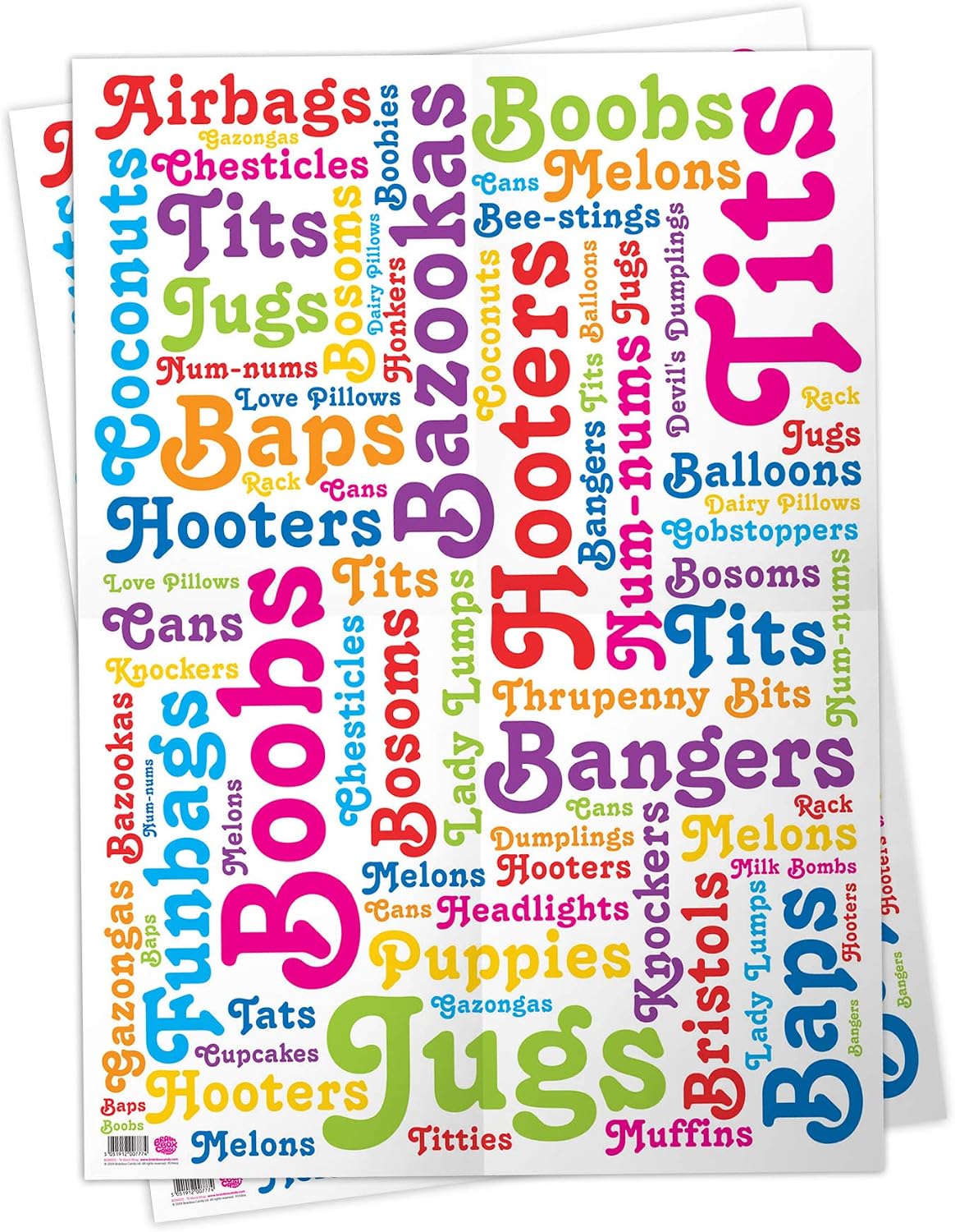 Brainbox Candy, 2 Sheets of Funny Rude 'Boob Words' Birthday Wrapping Paper