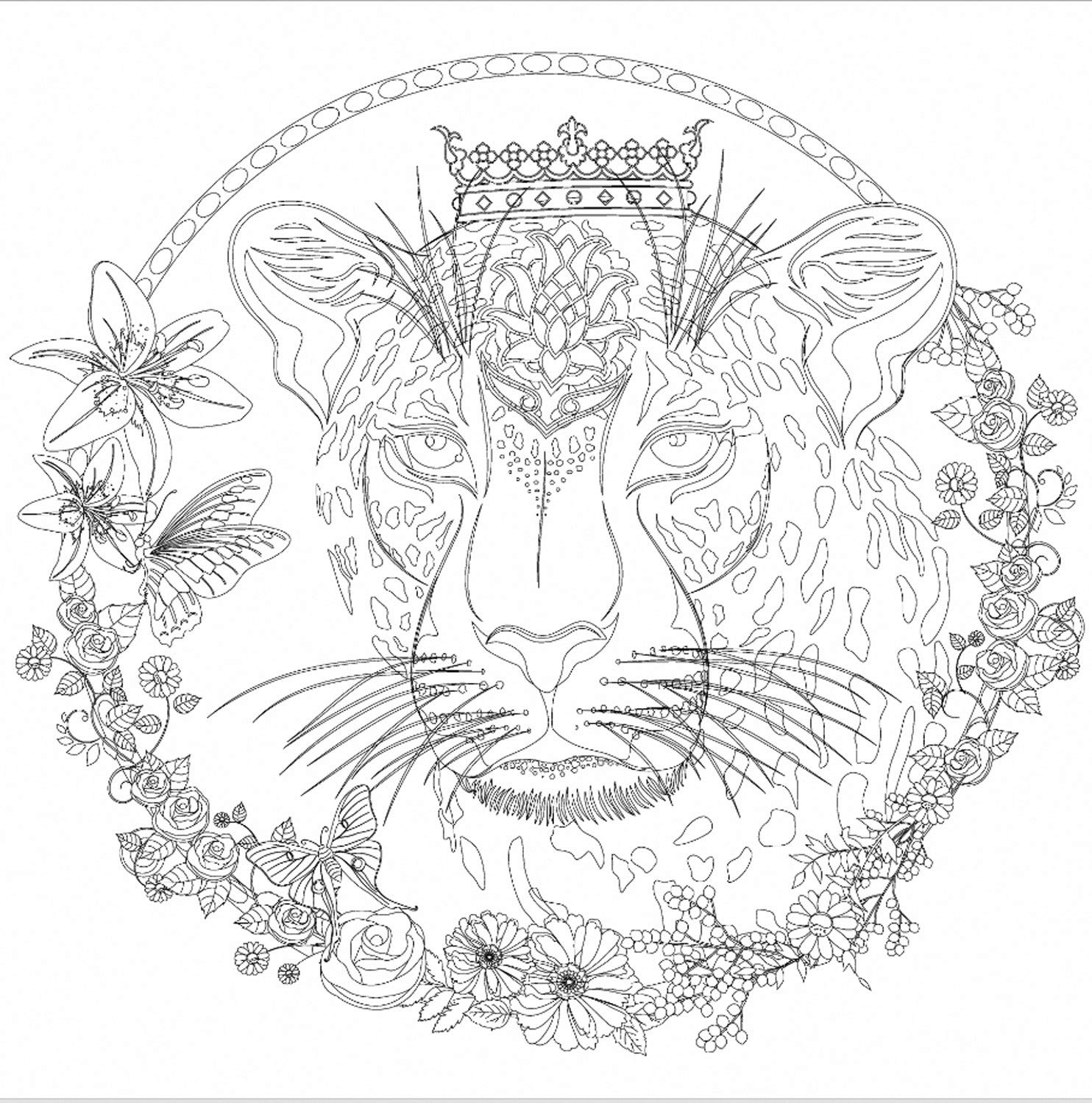 Honsell 12119 Stretcher Frame with Lion Motif, Format 30 x 30 cm, Pre-Printed Motif for Colouring with Acrylic, Watercolour and Oil Paints and Felt and Colouring Pencils