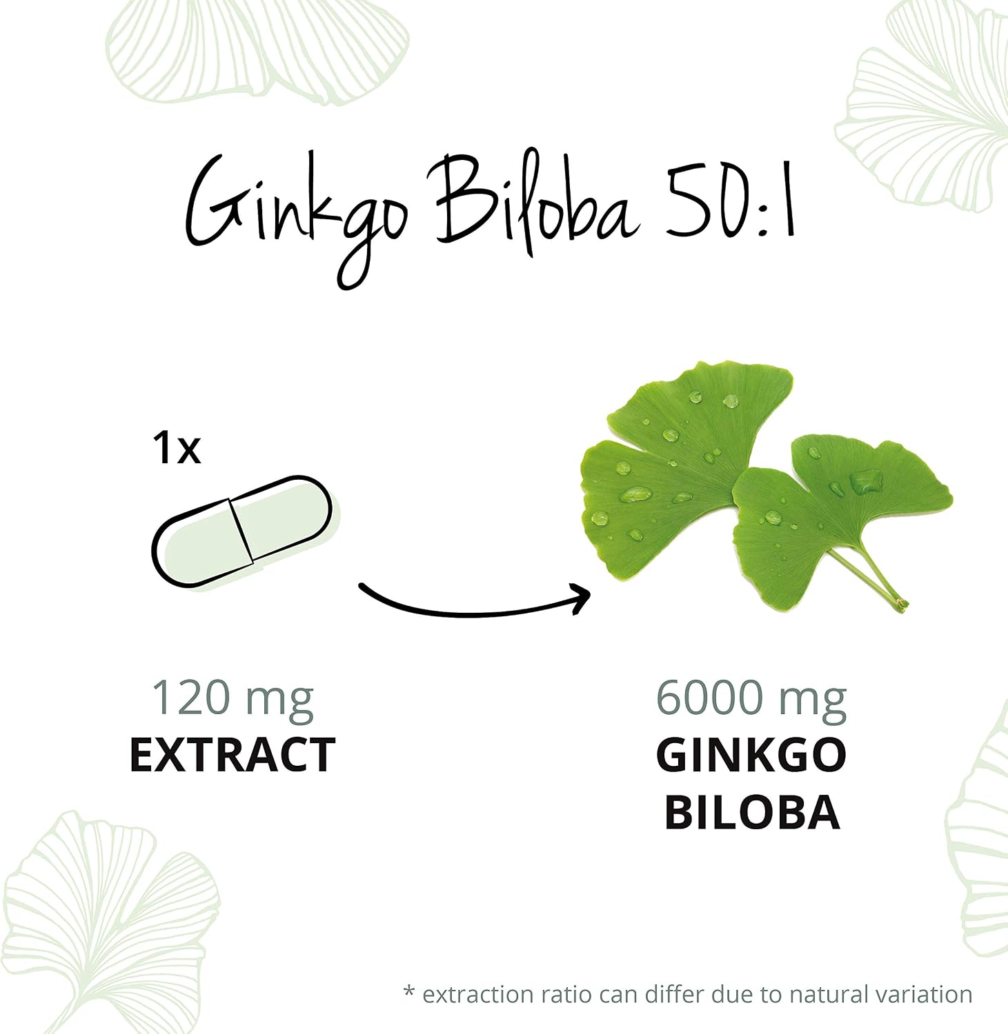 Vegavero Ginkgo Biloba 6000 mg, 180 count (Pack of 1) - Image 4