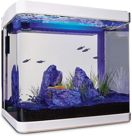 petco hexagon fish tank