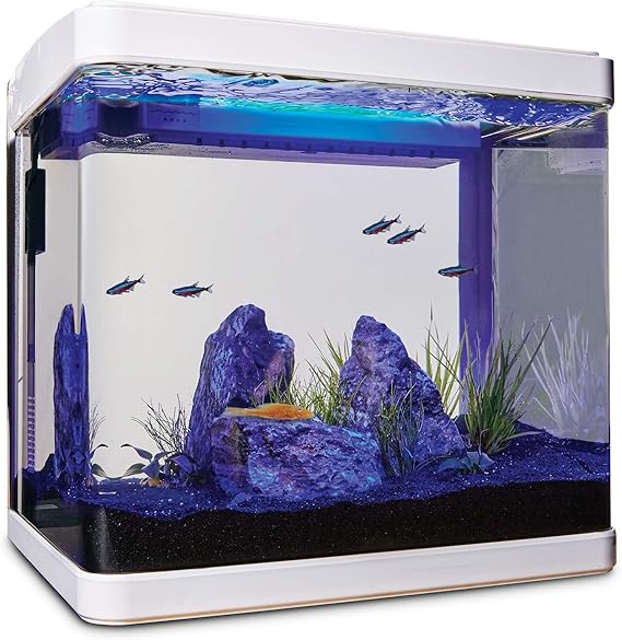 imagitarium freshwater aquarium 2.2