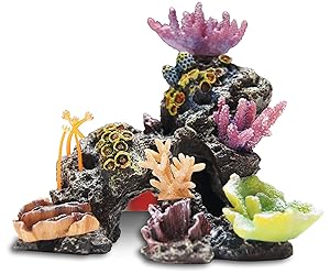 21 Best Aquarium Decorations 2020 Reviews Guide