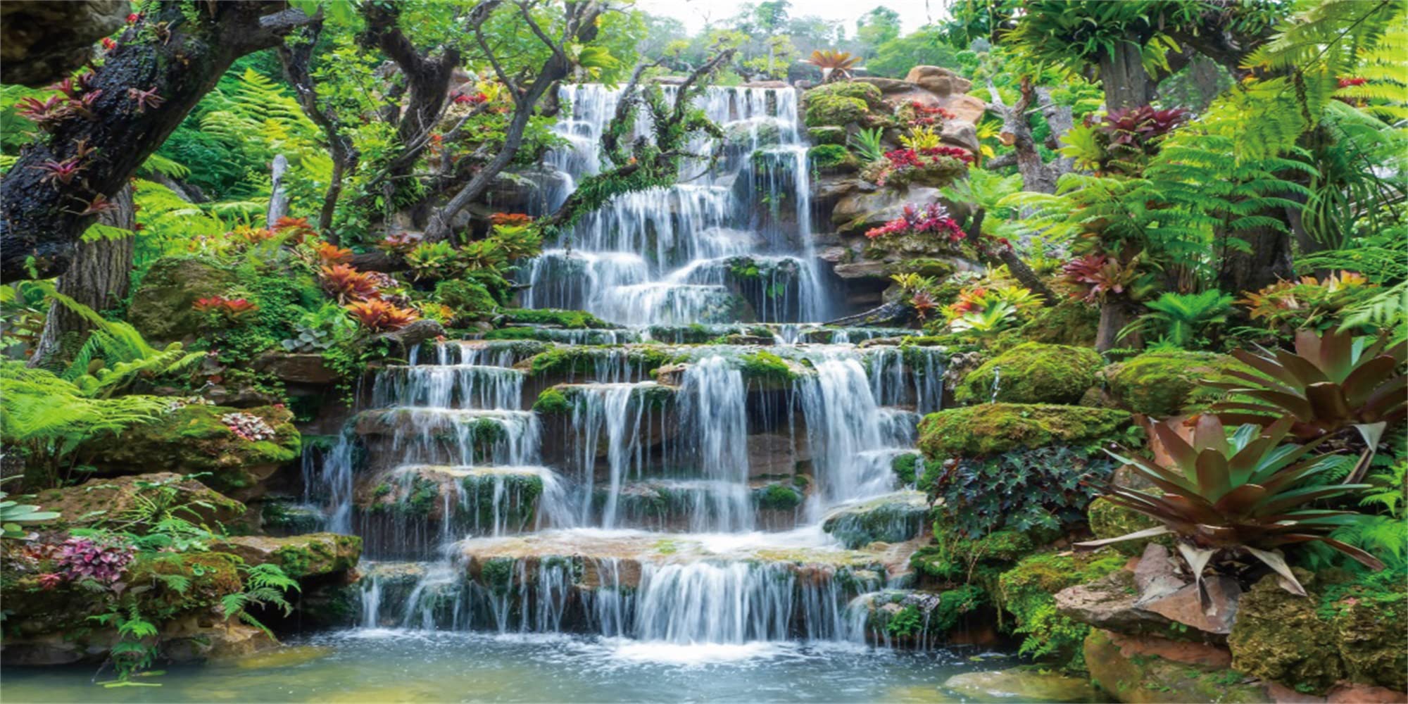 Photo 1 of AWERT 48x24 inches Waterfall Aquarium Background Forest Park Green Tropical Plants Fish Tank Background Reptile Habitat Background Vinyl Background