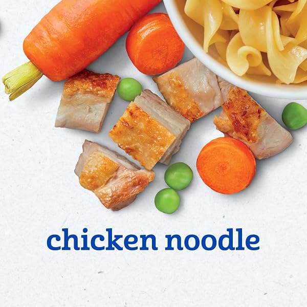 GERBER BABY FOOD 2ND FOODS, DINNER, CHICKEN NOODLE PUREE, 4 OUNCE TUBS, (PACK OF 8)