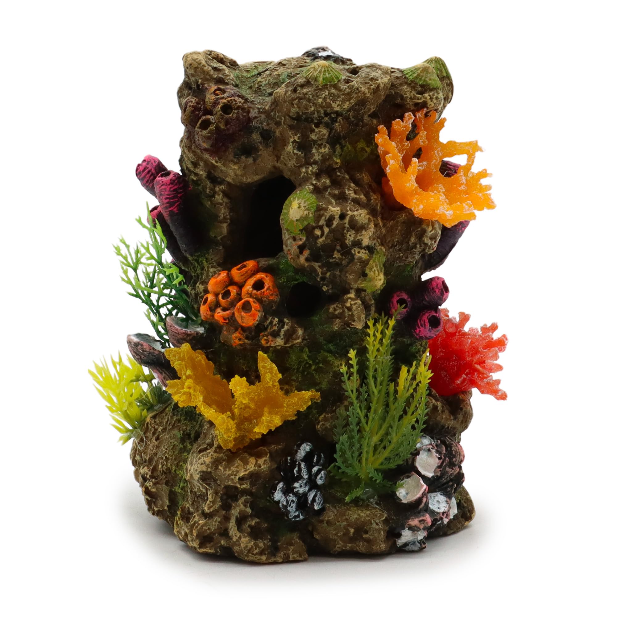 CROCI Rock with Corals, Medium
