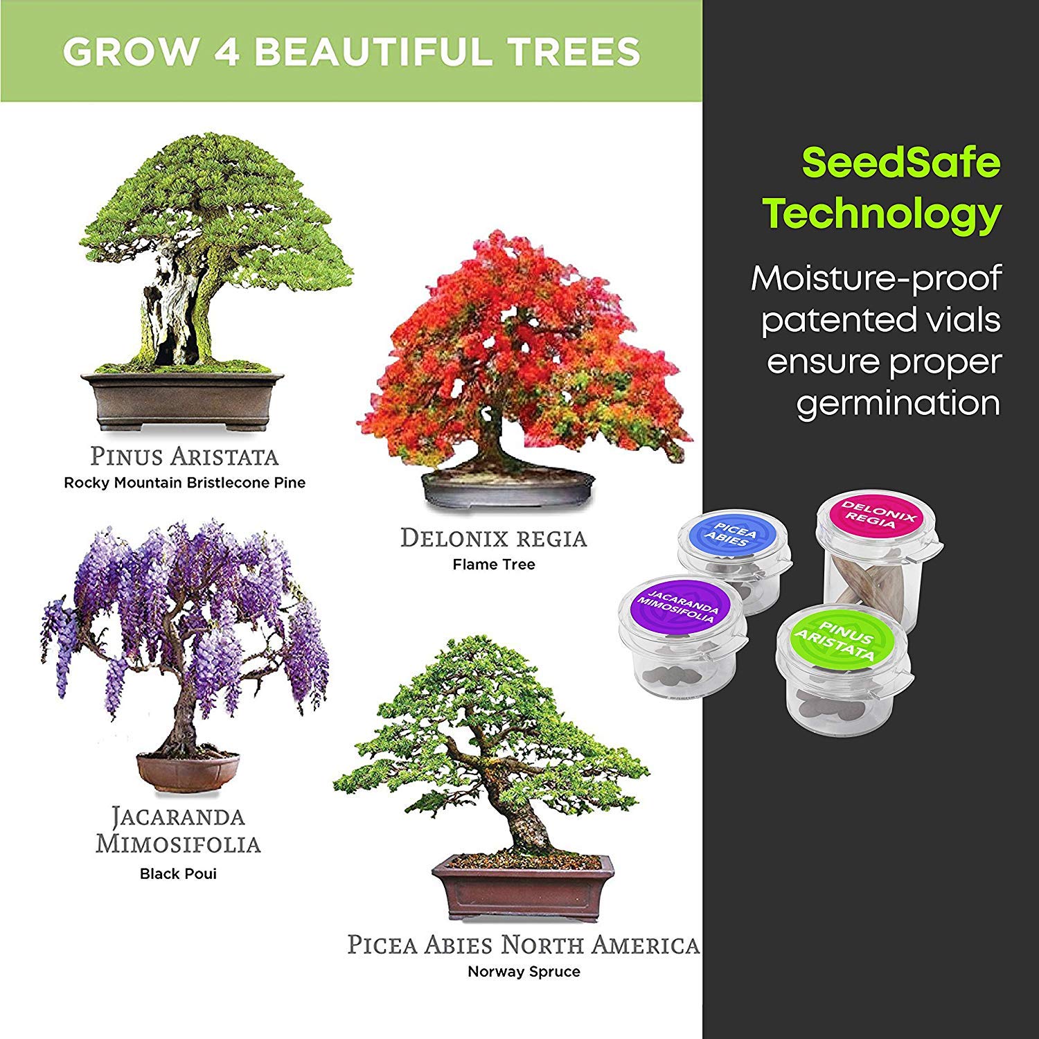 Planters' Choice Succulent & Cactus Growing Kit with Moisture Meter