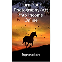 Turn Your Photography/Art into Income Online book cover Turn Your Photography/Art into Income Online book cover