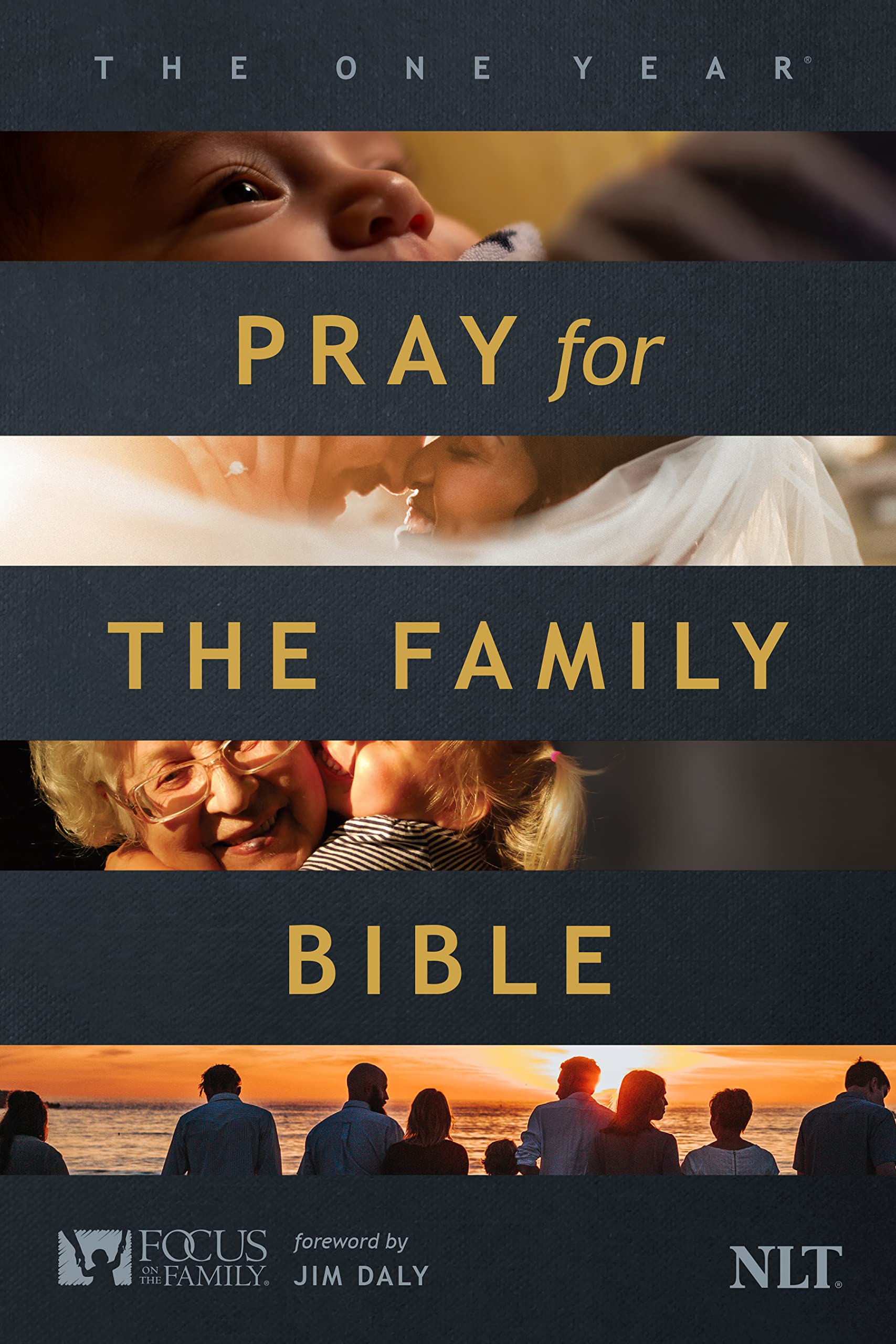 The One Year Pray for the Family Bible NLT (Softcover) The One Year Pray for the Family Bible NLT (Softcover) Paperback