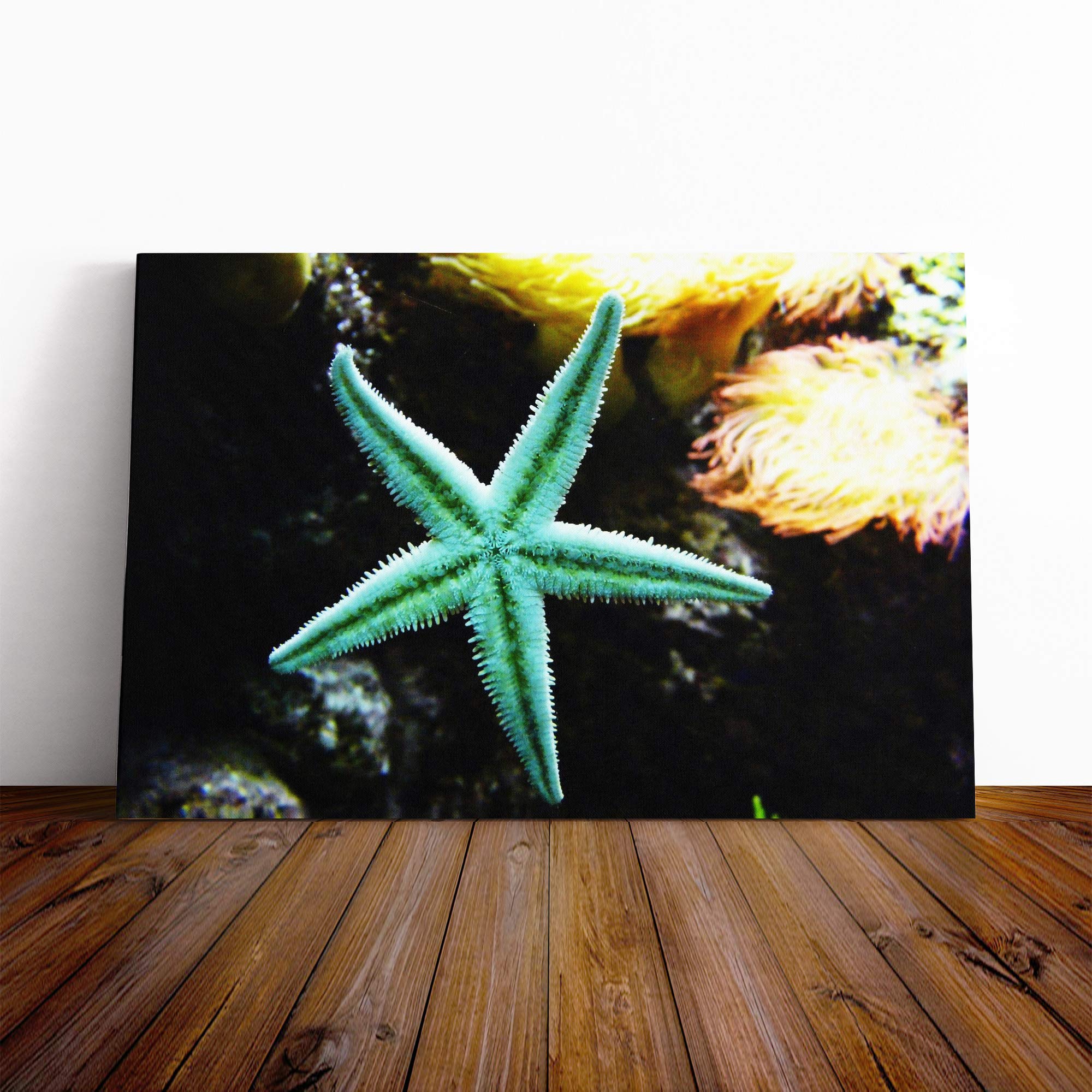 Starfish Canvas Print | Gallery Wrapped 30mm Frame Wall Art | 20x14 inches | Ready to Hang | Modern Animal Picture | Living Room Bedroom Lounge Office
