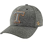 ZHATS NCAA Mens NCAA Officially Licensed Hat Somber Fog
