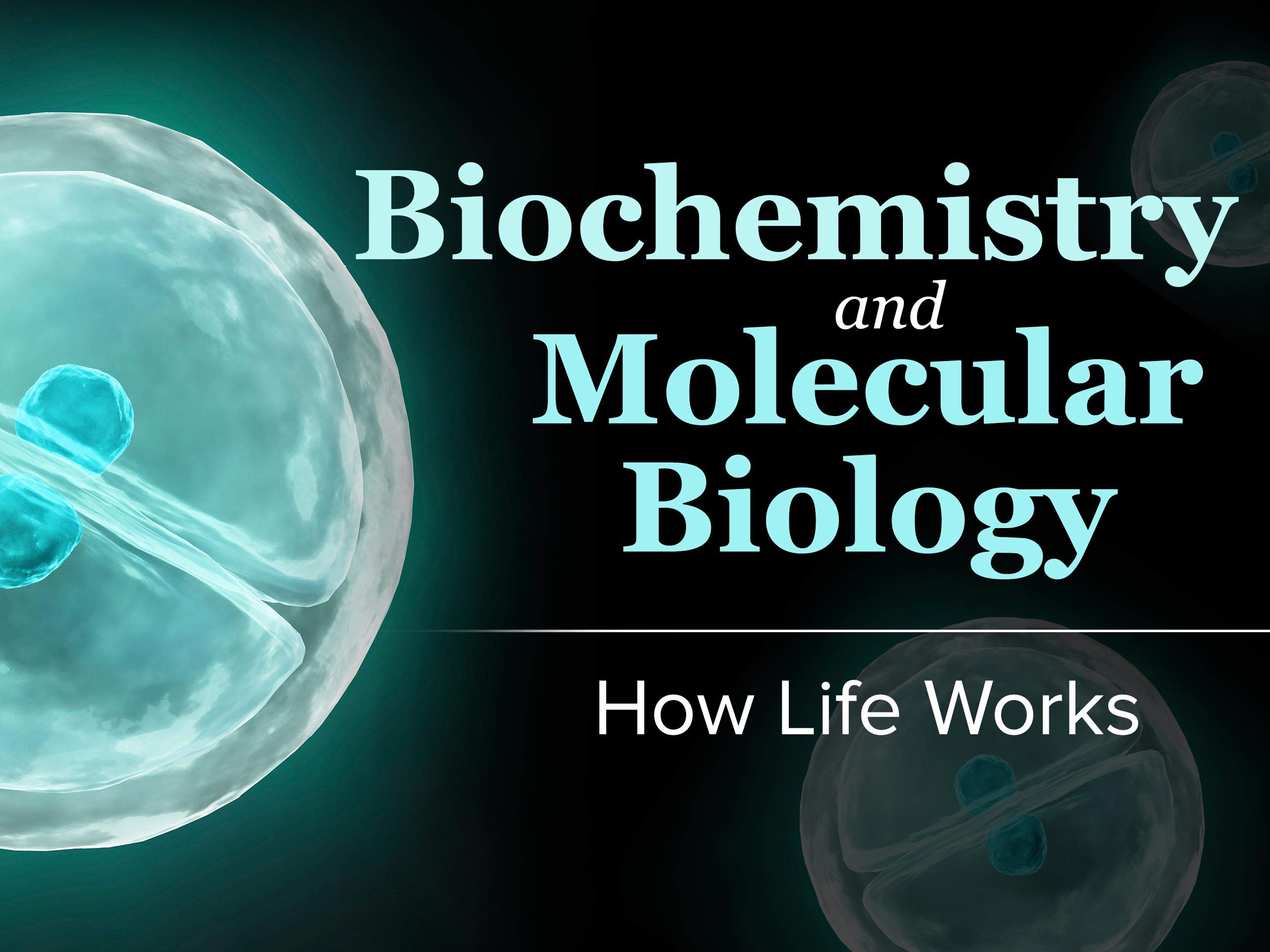 Watch Biochemistry and Molecular Biology How Life Works Prime Video