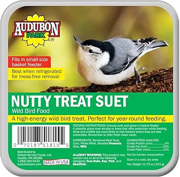 Amazon Com Audubon Park 1846 Nutty Treat Suet Cake Wild Bird