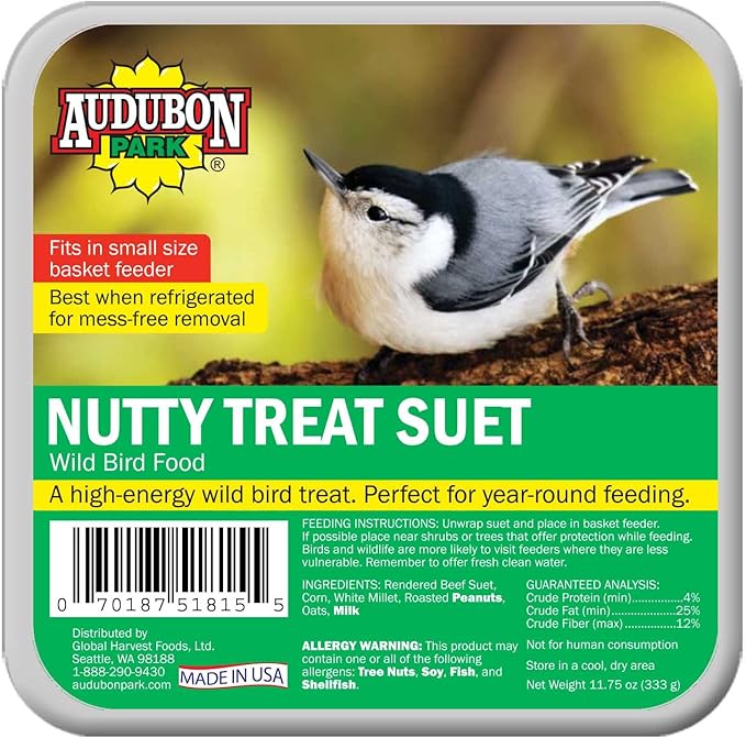 Amazon Com Audubon Park 1846 Nutty Treat Suet Cake Wild Bird