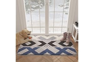 Color&Geometry Door Mats Indoor, 20"x32" Front Door Mat Door Rugs for Entryway Indoor, Non Slip Washable Entry Rugs for Inside House, Absorbent M Mat Floor Mat Entryway Rug, Black Blue