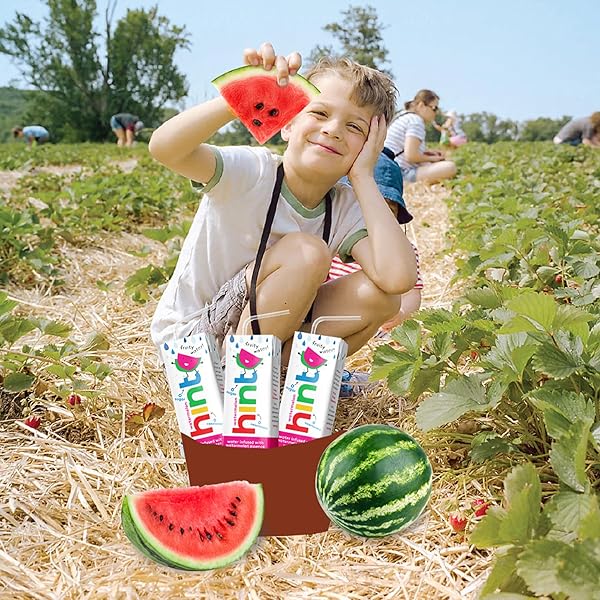 HINT KIDS WATER VARIETY PACK, 8 BOXES: CHERRY, WATERMELON, APPLE & GRAPE, ZERO SUGAR & SWEETENERS, ZERO PRESERVATIVES & ARTIFICIAL FLAVORS, 6.75 FL OZ (PACK OF 32)