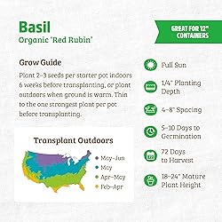 Back to the Roots 100% Organic Seed Packet - Basil