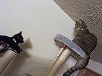 Review Image by lacey lacey