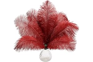 SENDYFEATHER 20pcs Natural Wine Red Ostrich Feathers 10-12inch 25-30cm for Wedding Party Centerpieces, Easter Home Decorations