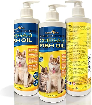 liquid diet for dogs