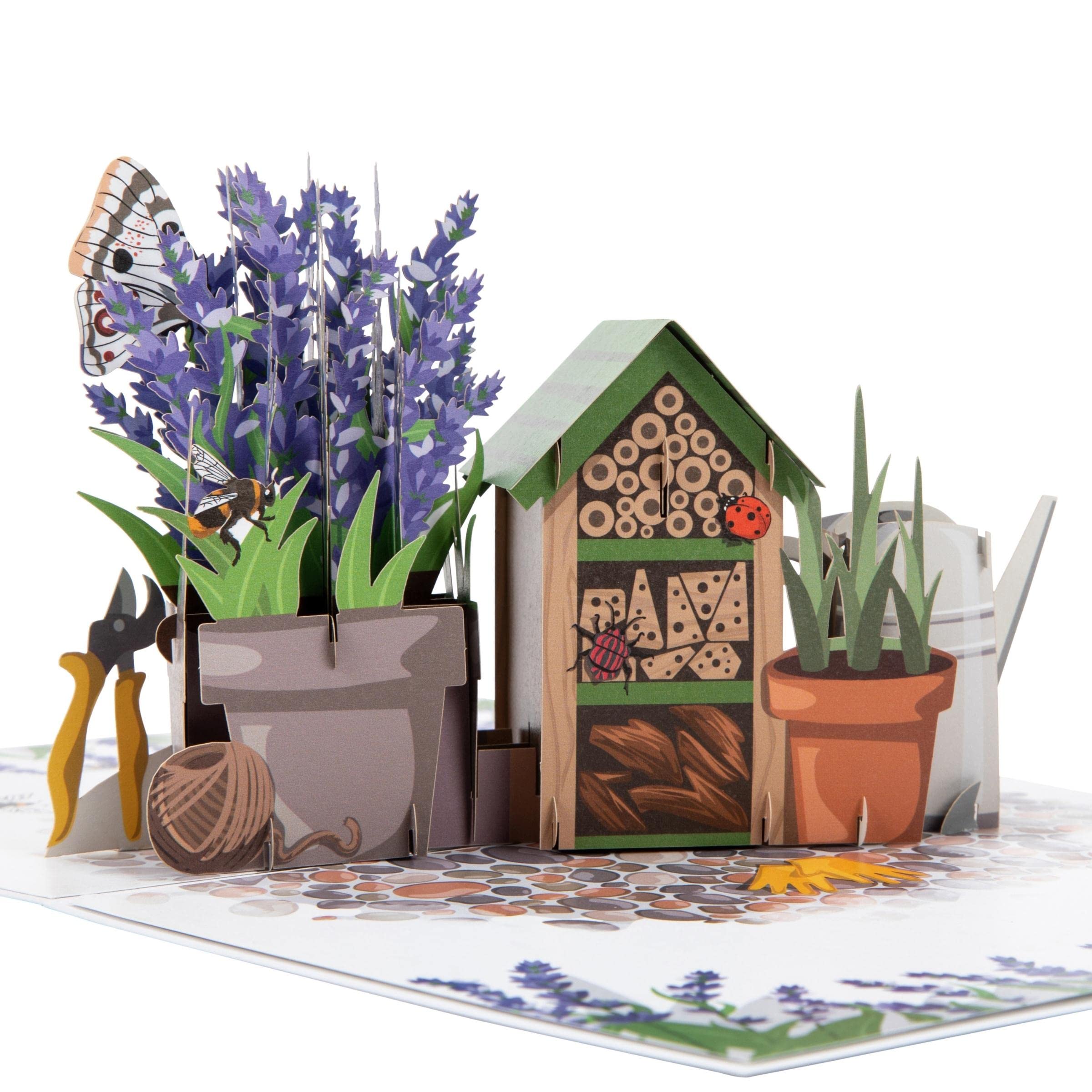 Cardology - Lavender Pop-Up Card | Mothers Day, Birthday Gift For Gardening Lover or Easter