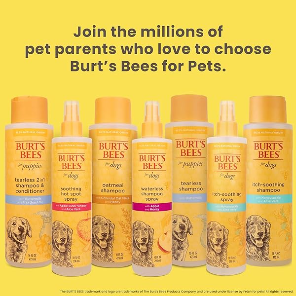 BURT’S BEES FOR PETS TEAR FREE PUPPY SHAMPOO & CONDITIONER WITH BUTTERMILK, 2 IN 1 GENTLE DOG SHAMPOO FOR PUPPIES, CLEANS AND CONDITIONS SENSITIVE SKIN, 16 FL OZ