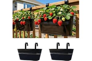 LaLaGreen Railing Planter Outdoor Plants (11.2 Inch, 2 Pack) Black Metal Iron Hanging Flower Pots Deck Rail Fence Hanging Buc