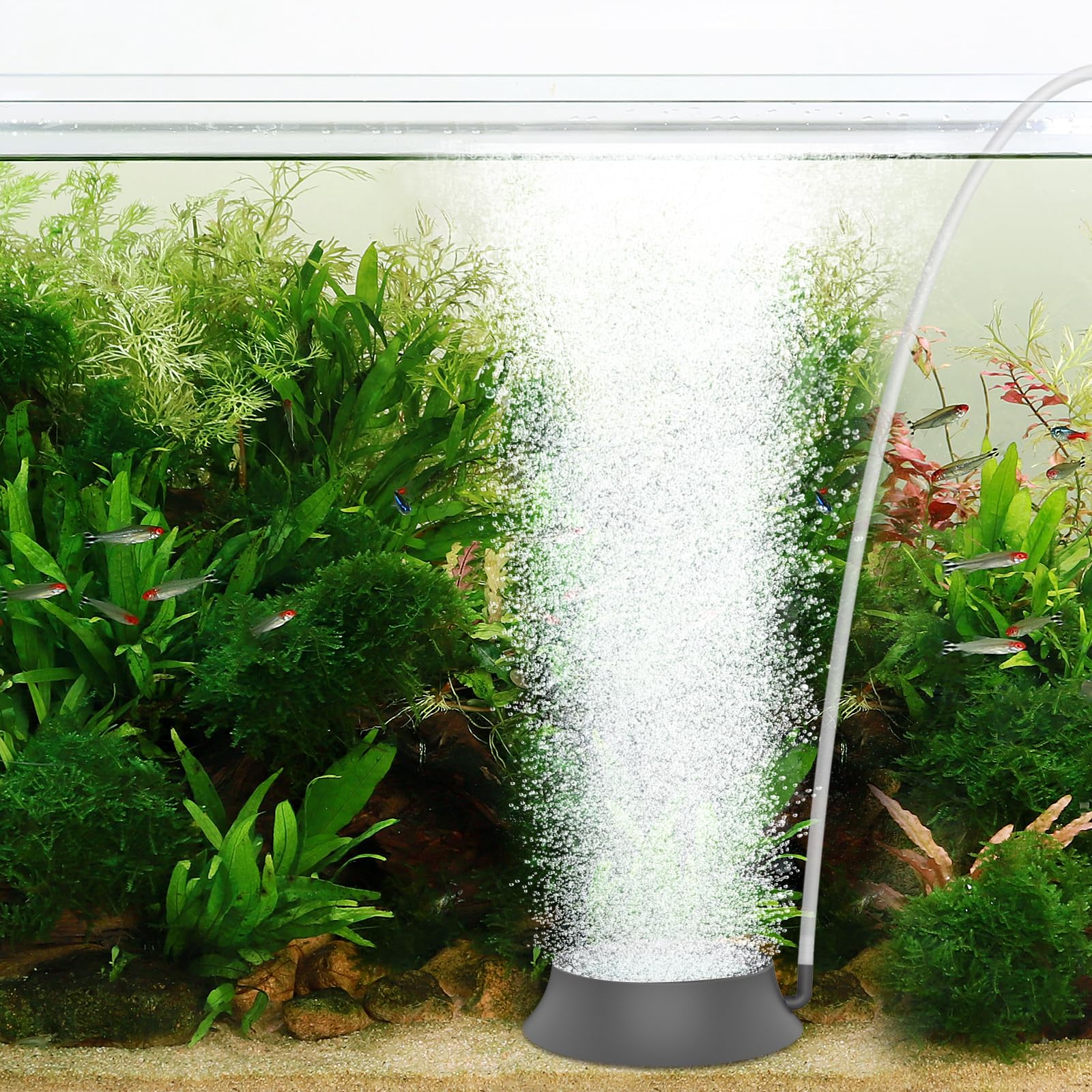 Photo 1 of hygger Aquarium Air Stone, Fish Tank Bubbler Aerator with Stainless Steel Base, Oxygen Diffuser for Nano Air Pumps Hydroponics Small Ponds and Fish Tanks