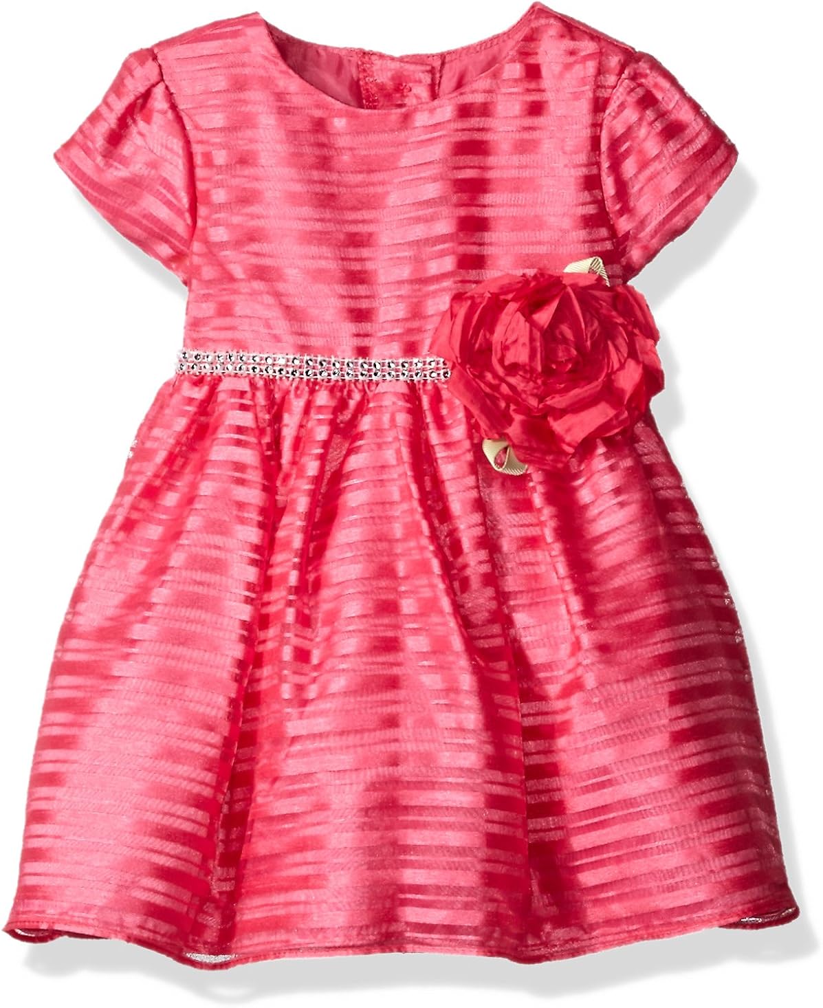 rose dress baby