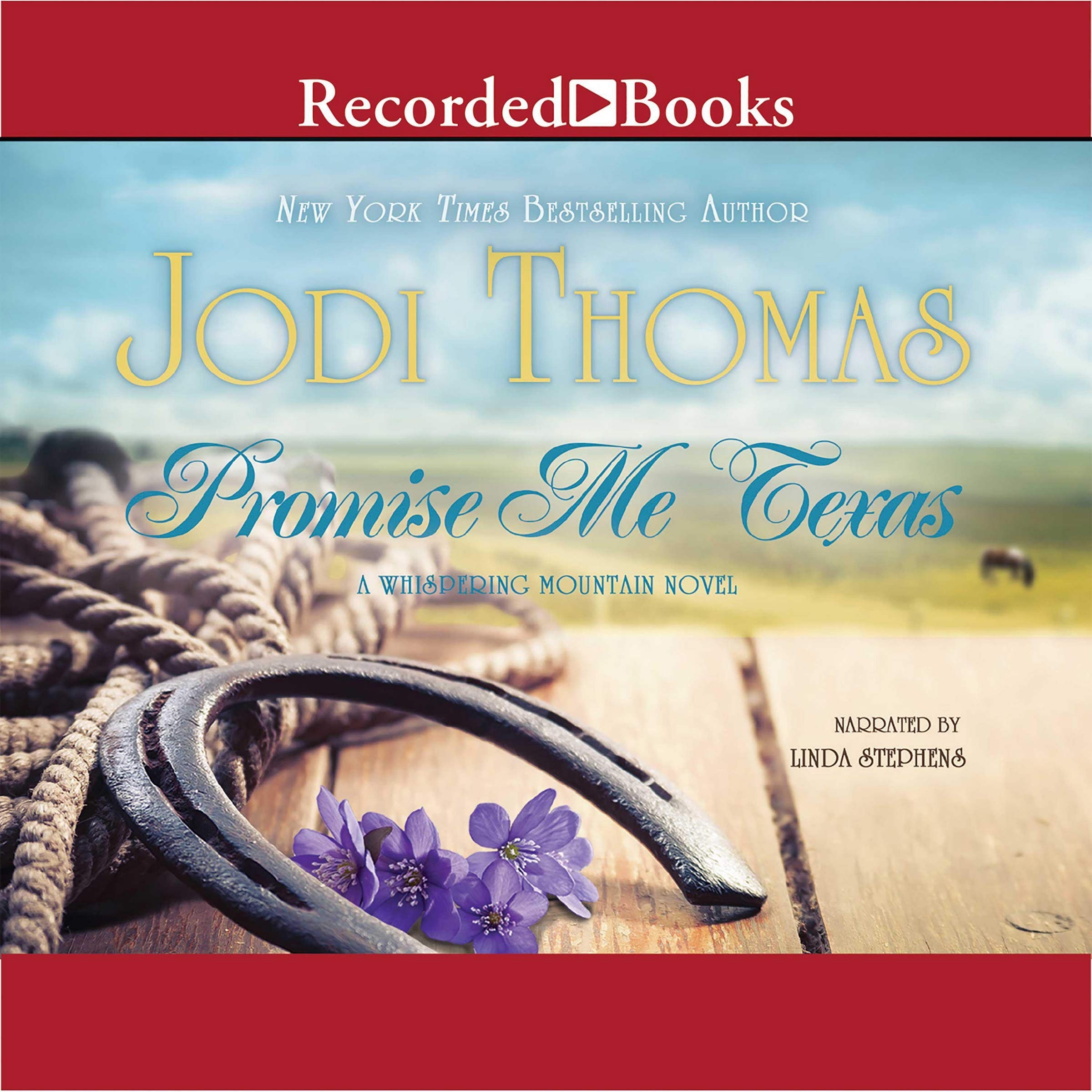 Promise Me Texas Image