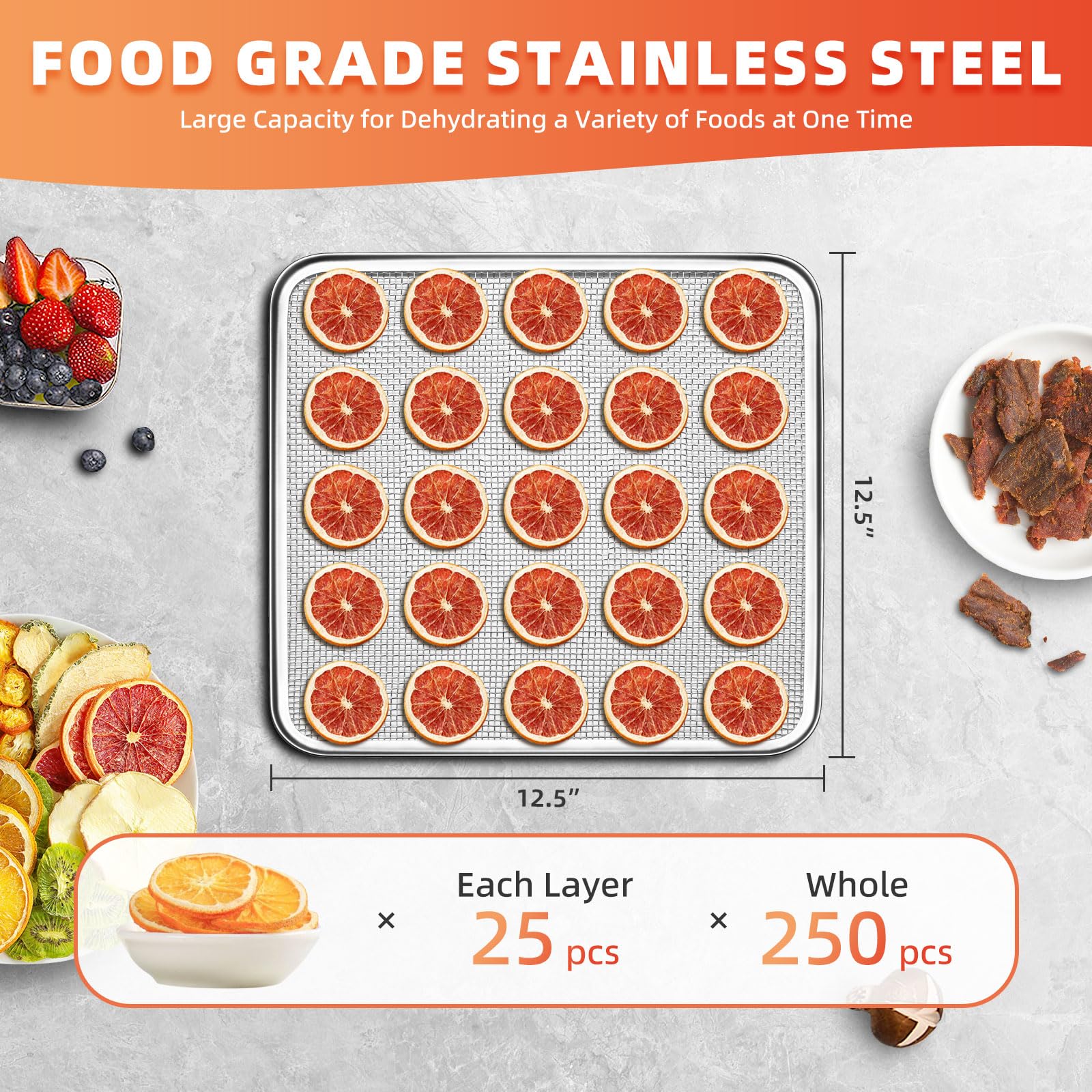 Septree 800W Food Dehydrator | Large 10 Stainless Steel Trays | Digital Adjustable 190°F Temperature& 24H Timer, Versatile Drying Machine for Jerky Herbs Fruit Mushrooms Yogurt, Built-in Light