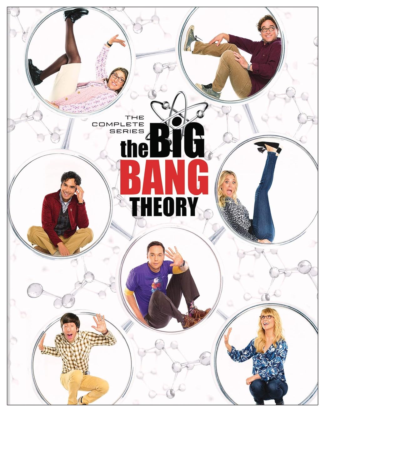The Big Bang Theory: The Complete Series (DVD)