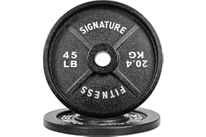 Fitvids Deep Dish 2-Inch Olympic Cast Iron Weight Plates with E-Coating
