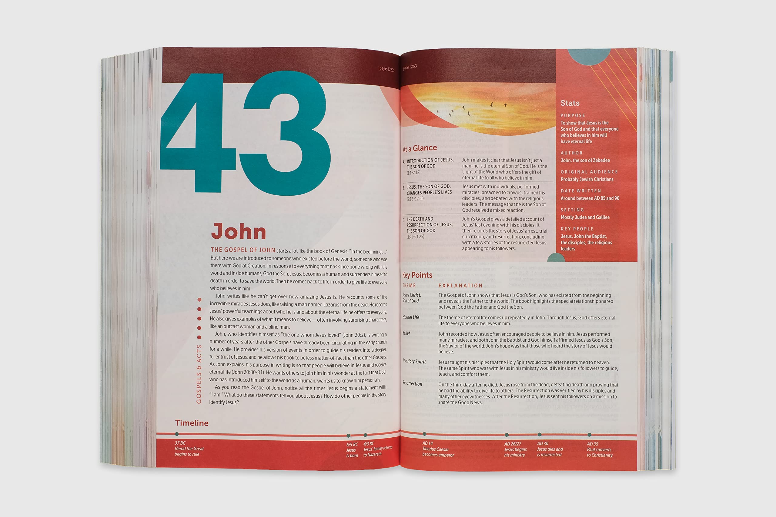 NLT Student Life Application Study Bible, Filament Enabled (Softcover, Red Letter)